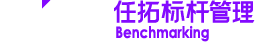Nint任拓標桿管理